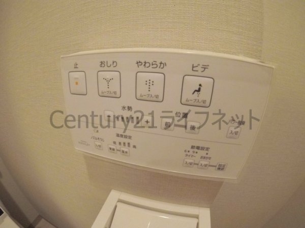 イベリスコート