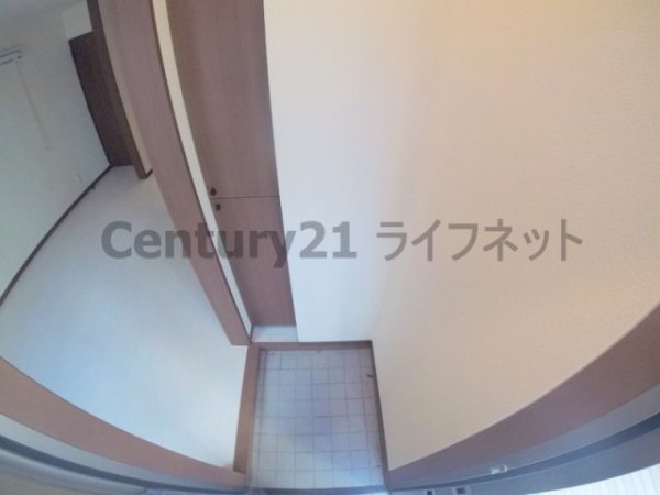 Ceiba新北野