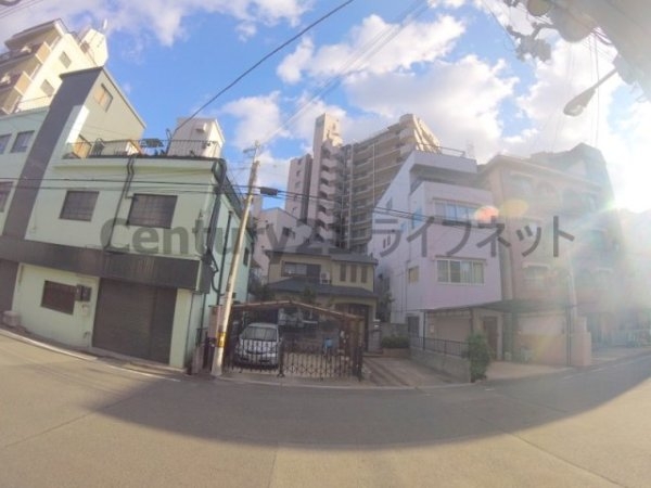 Ceiba新北野