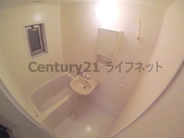 Ceiba新北野