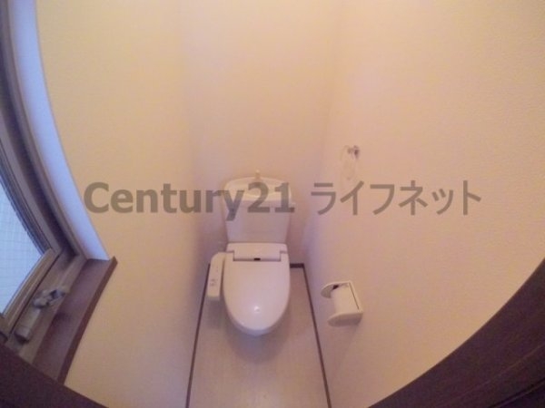 Ceiba新北野