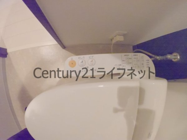 サンカトル