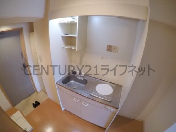 グランドーム国際