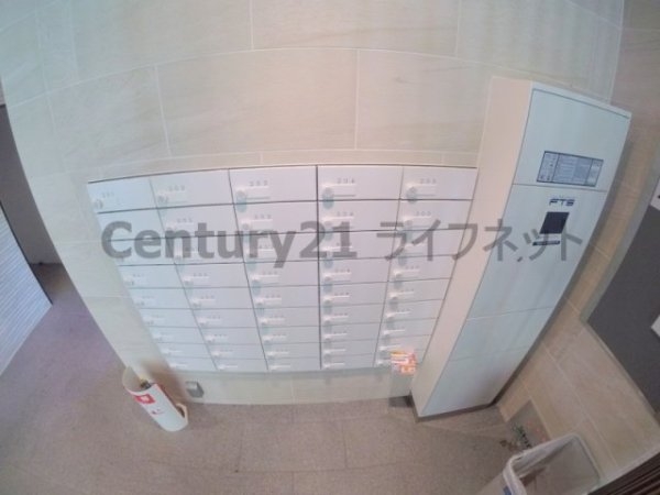 スプランディッド三国1