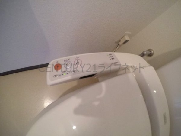 シャンテミキ