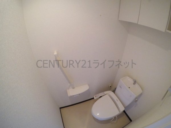 シャンテミキ