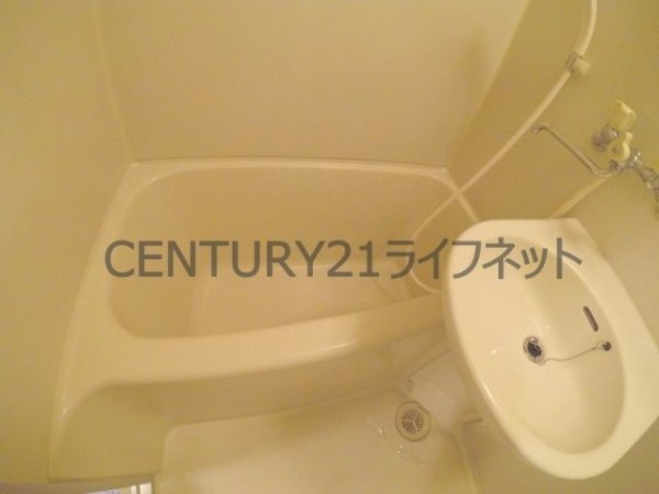 コレクション中崎1