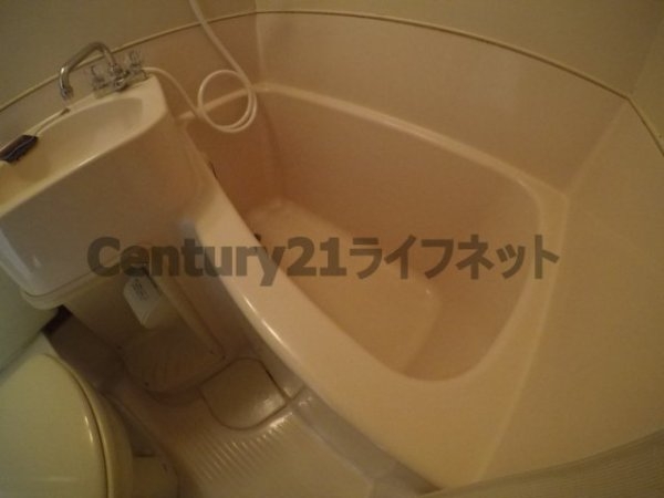セシルハイツ