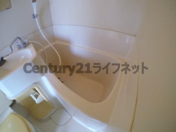 セシルハイツ