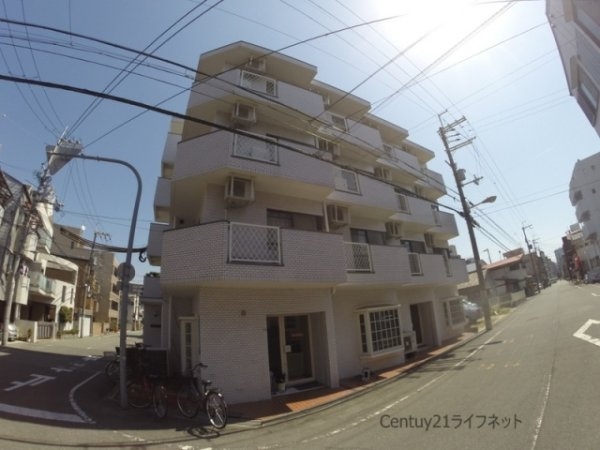 ホワイトハイツ