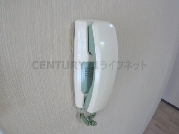 ホワイトハイツ