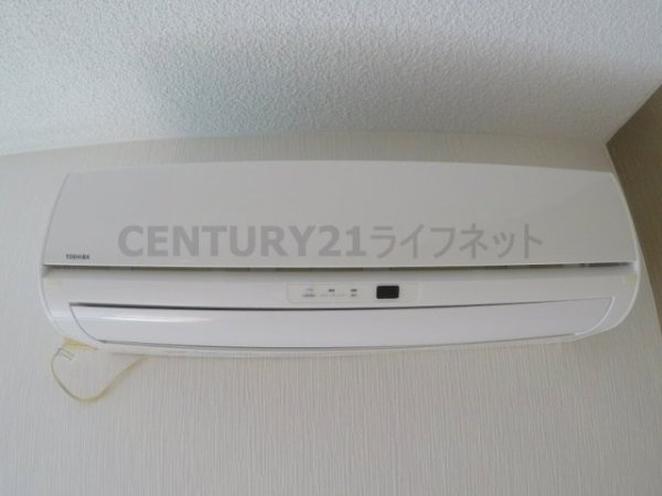 ホワイトハイツ