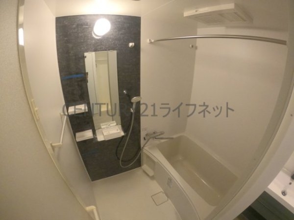 セレニテ十三ミラク