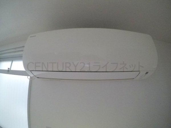 シェイーネ新高