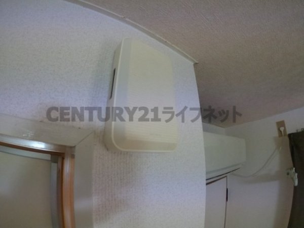 アルバトロス