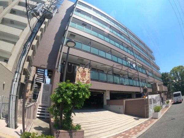 ハイムタケダT-8