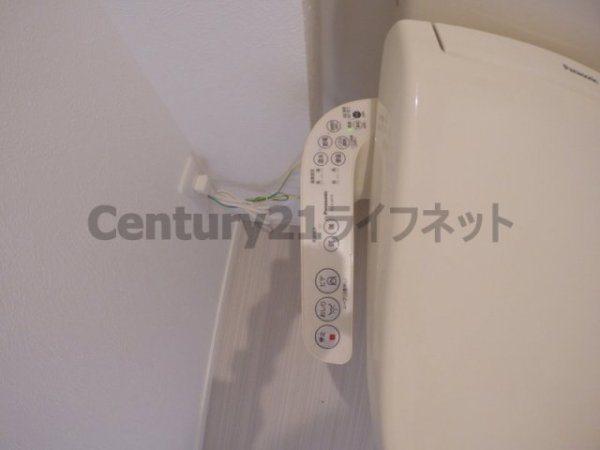 サザンモデラート