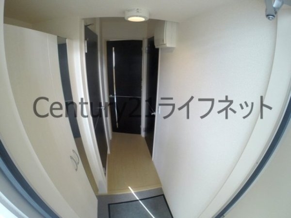 シャルムC