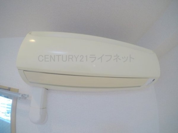 シャンテミキ