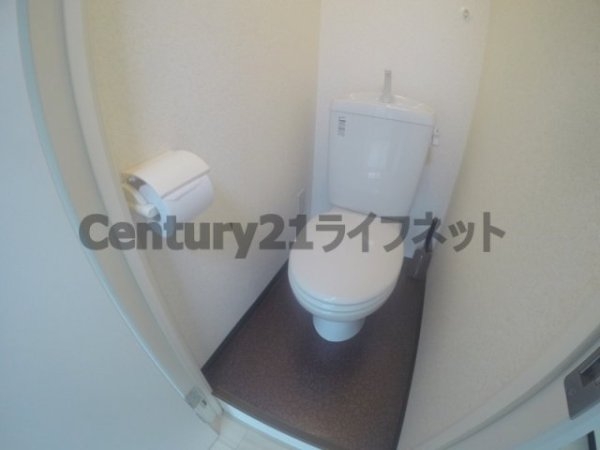 エムエムハイツ