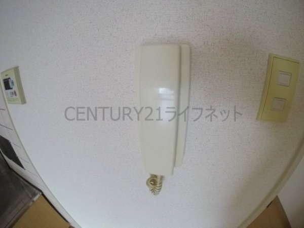 ディオサC・S