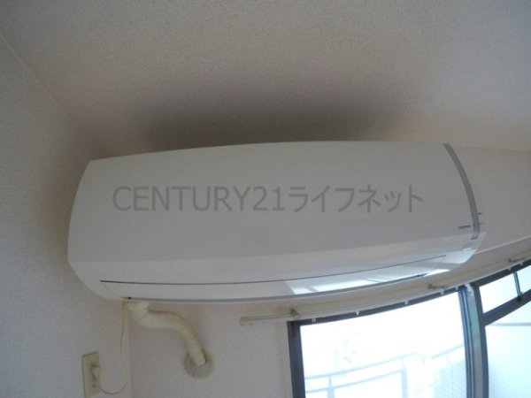 ディオサC・S