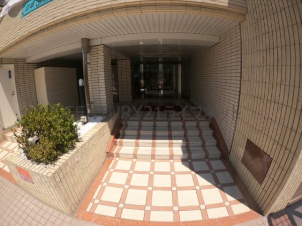 ハイムタケダT-8