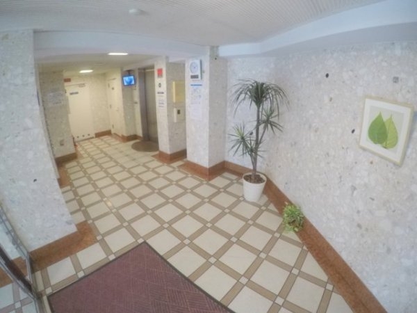 ハイムタケダT-8