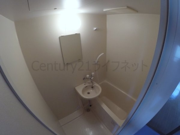 ヴィヴァーチェ