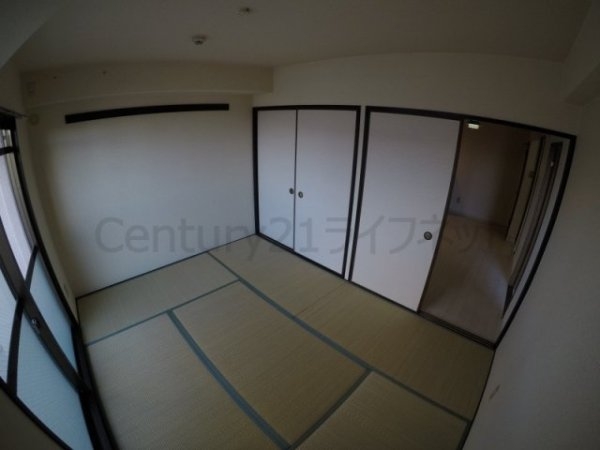 サンフェスタ