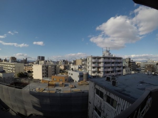 サンフェスタ