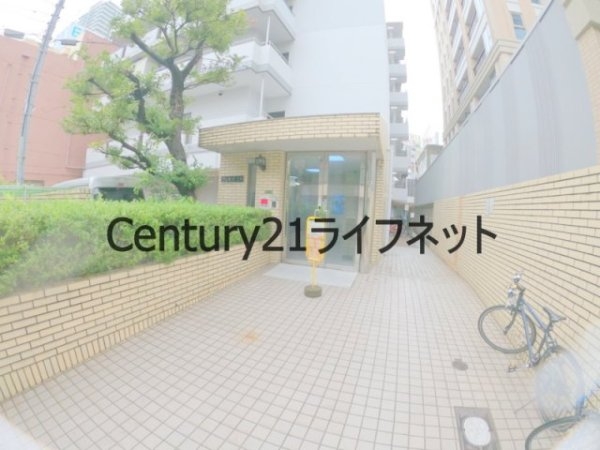ヴェルデ・ミキ