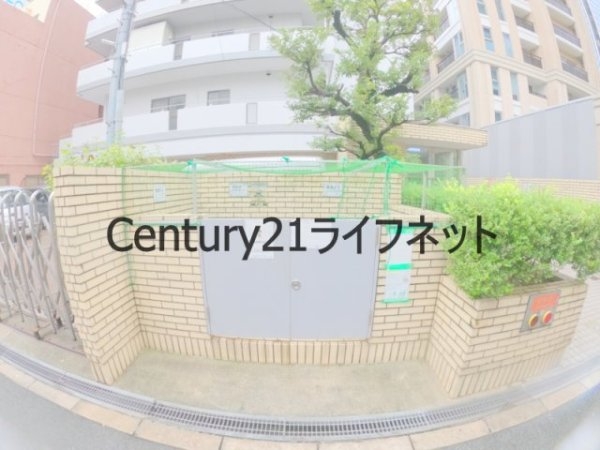 ヴェルデ・ミキ