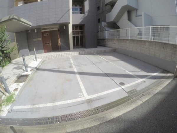 CASSIATSUKAMOTO