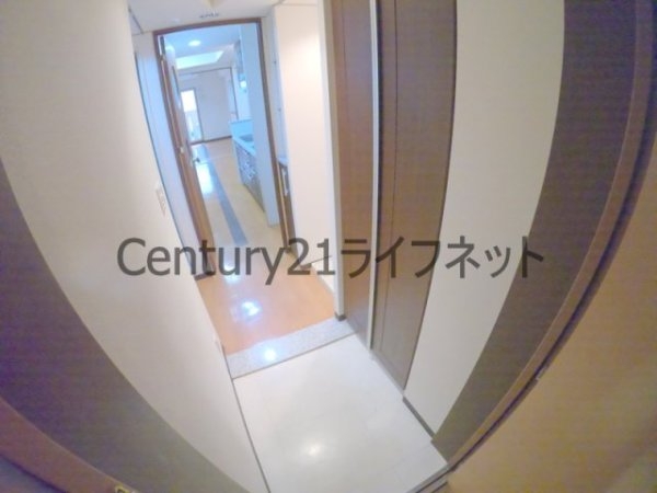 コンソラーレ同心