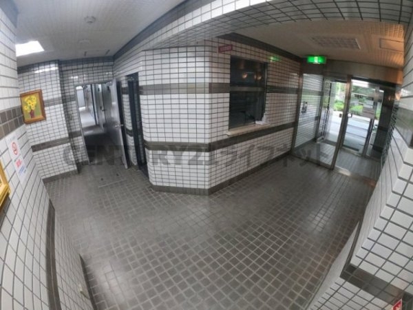 メゾンルミエール
