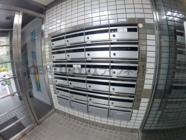 メゾンルミエール
