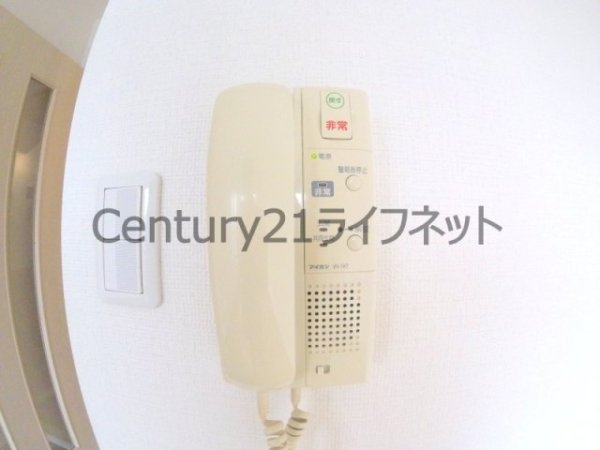 サザン長柄