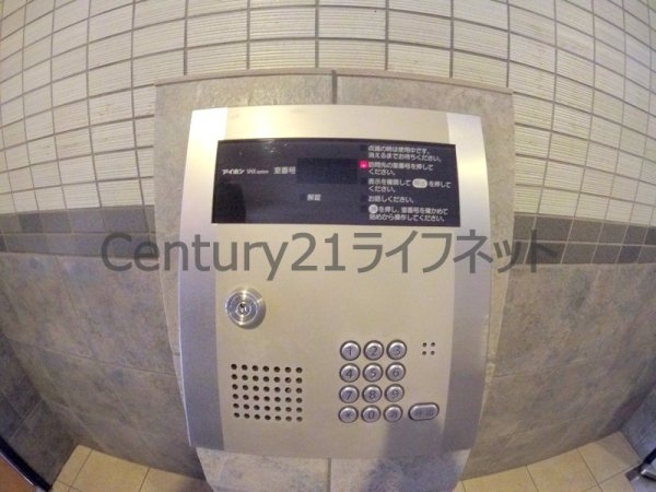 サザン長柄
