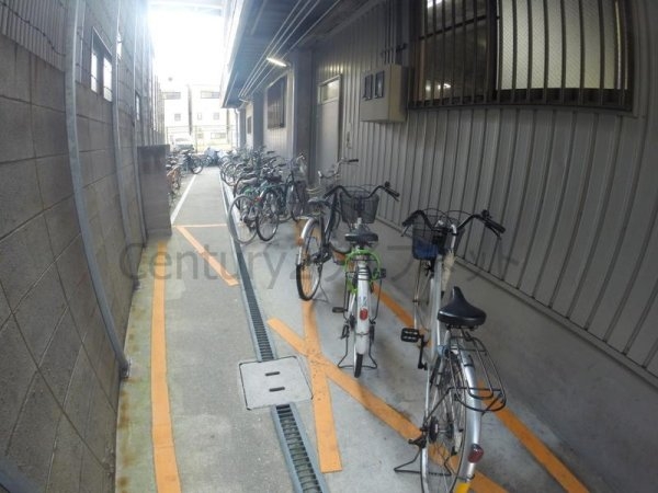 アルビオン