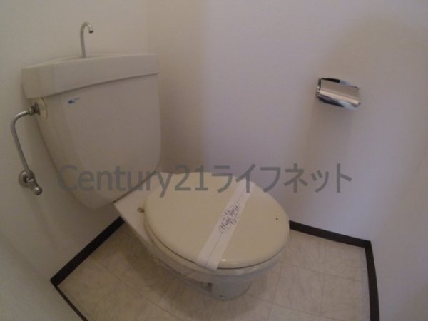 コムシノア