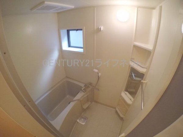 白樺ハイツ