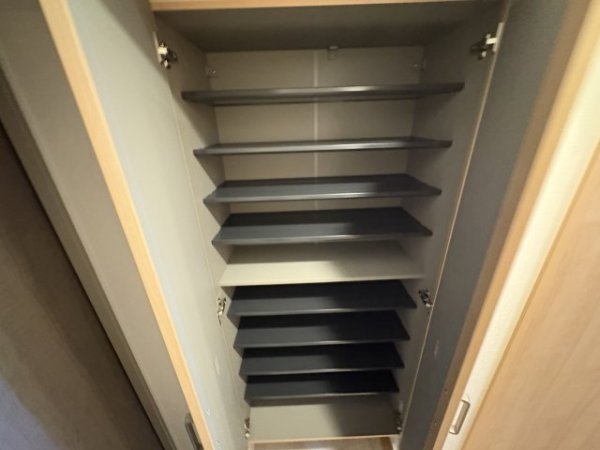 スプランディッド8