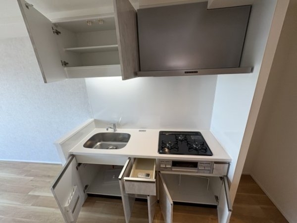 スプランディッド8
