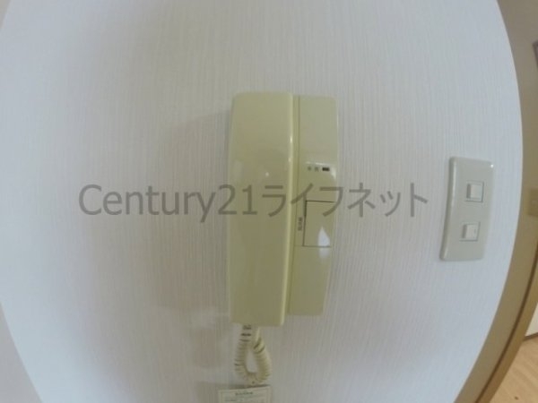 サンフィールド
