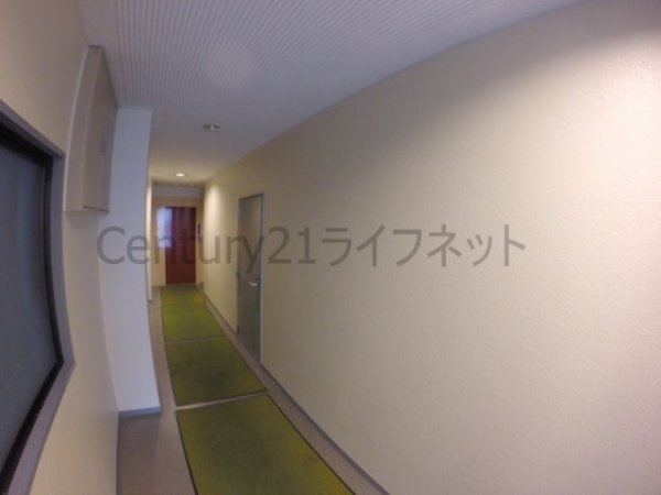 サンフィールド