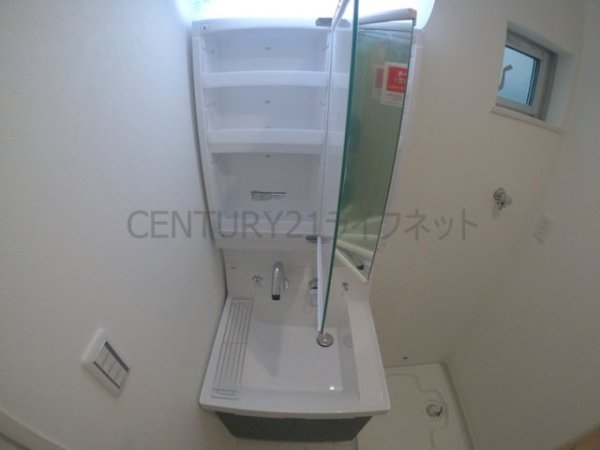 cacto新高
