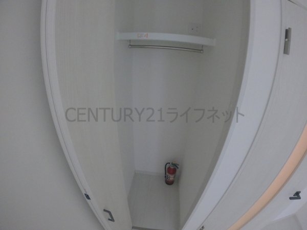 cacto新高