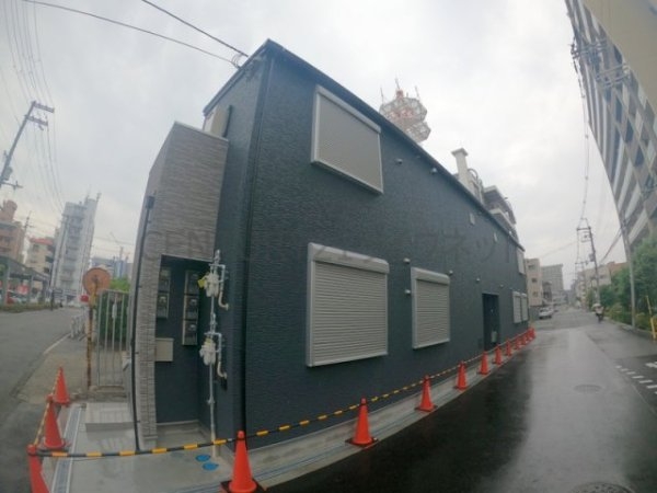 cacto新高