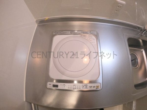 cacto新高